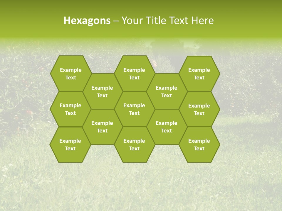 Nature People Beauty PowerPoint Template