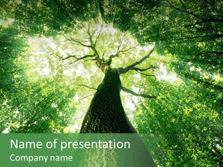 Dream Backlit Colour PowerPoint Template