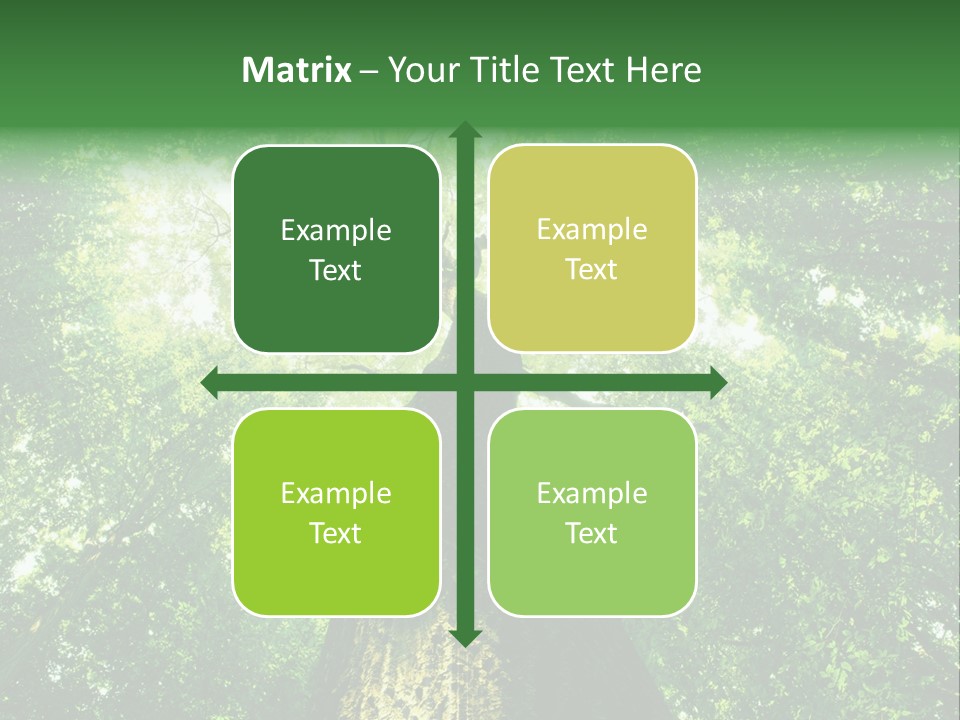 Dream Backlit Colour PowerPoint Template