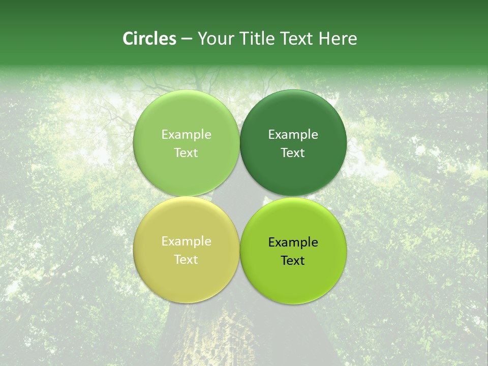 Dream Backlit Colour PowerPoint Template