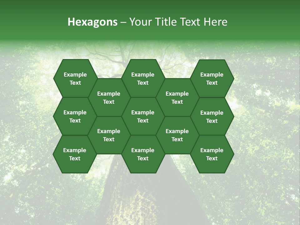 Dream Backlit Colour PowerPoint Template