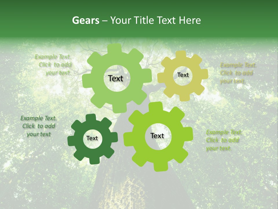 Dream Backlit Colour PowerPoint Template