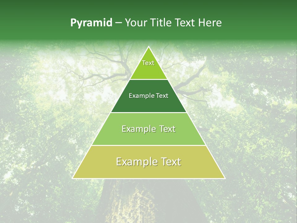 Dream Backlit Colour PowerPoint Template