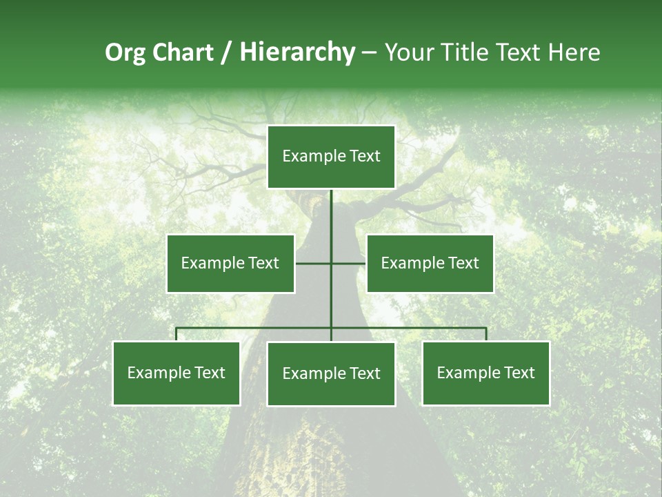 Dream Backlit Colour PowerPoint Template