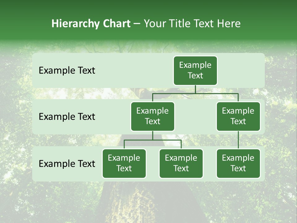 Dream Backlit Colour PowerPoint Template