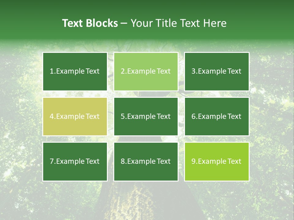 Dream Backlit Colour PowerPoint Template