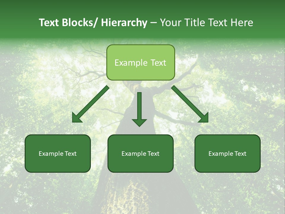 Dream Backlit Colour PowerPoint Template