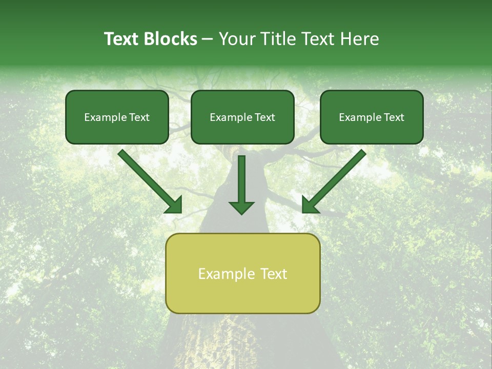 Dream Backlit Colour PowerPoint Template