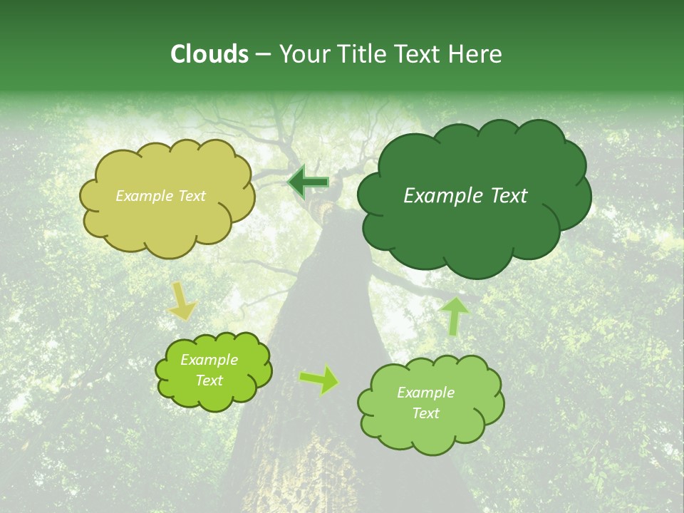 Dream Backlit Colour PowerPoint Template