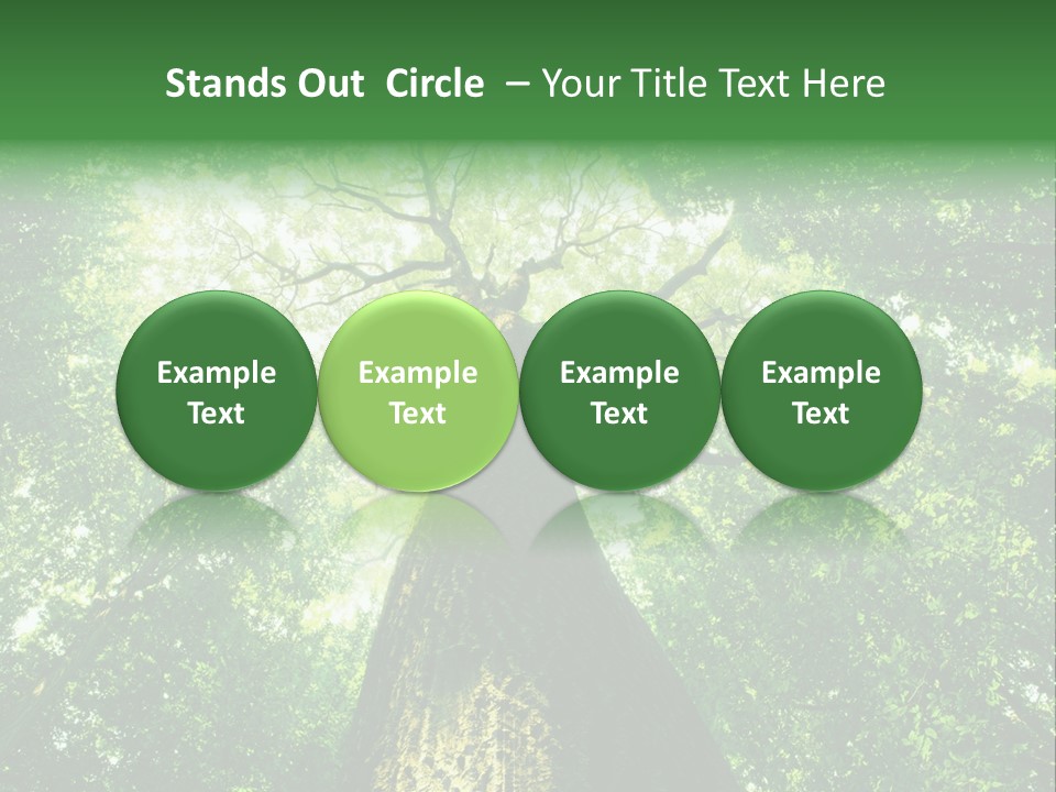 Dream Backlit Colour PowerPoint Template