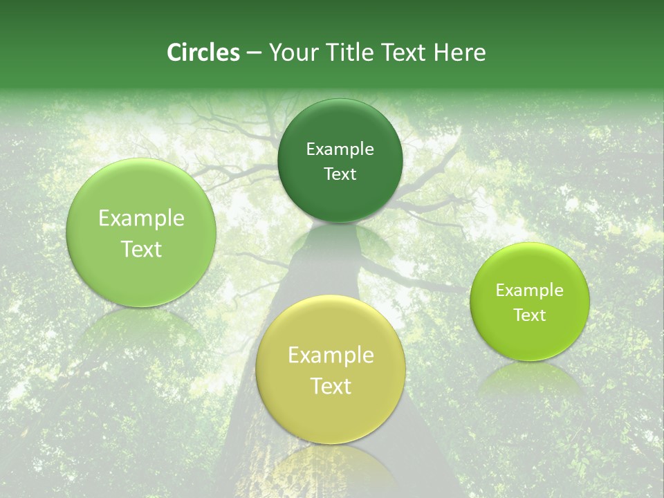 Dream Backlit Colour PowerPoint Template