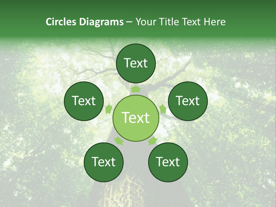 Dream Backlit Colour PowerPoint Template