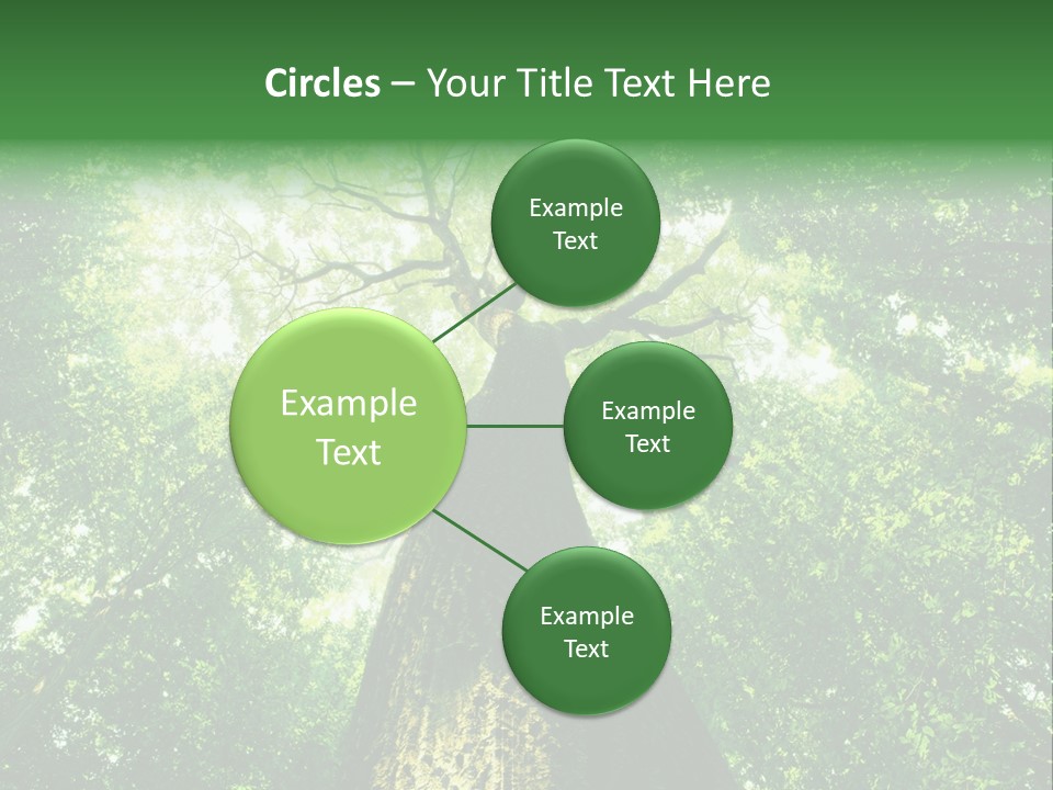 Dream Backlit Colour PowerPoint Template