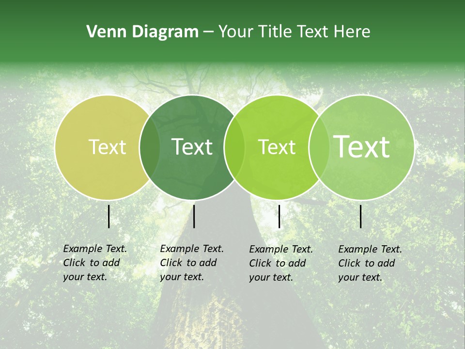 Dream Backlit Colour PowerPoint Template