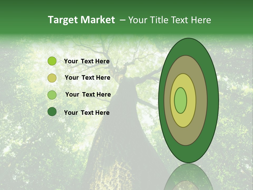 Dream Backlit Colour PowerPoint Template