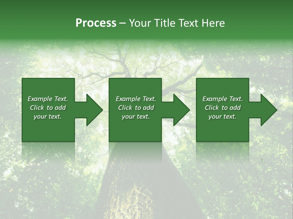 Dream Backlit Colour PowerPoint Template