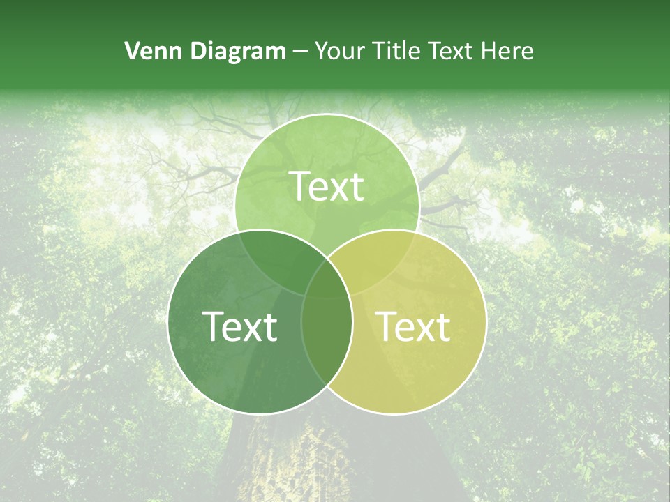 Dream Backlit Colour PowerPoint Template