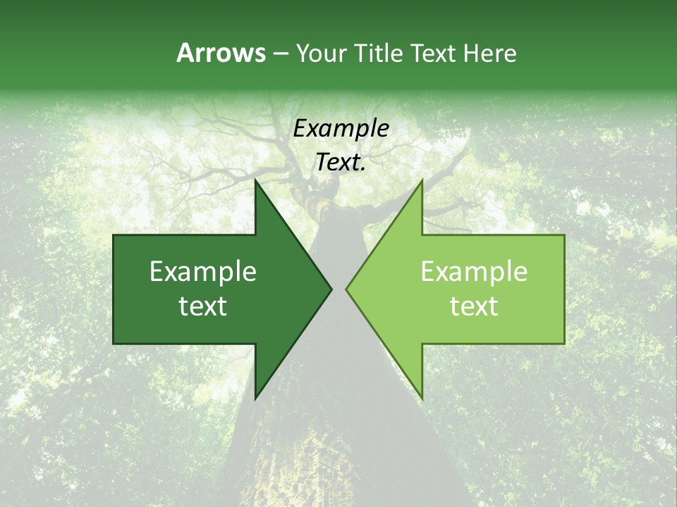 Dream Backlit Colour PowerPoint Template