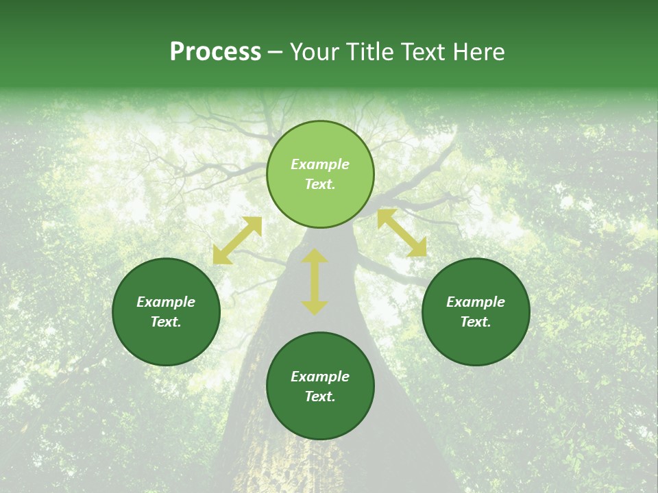 Dream Backlit Colour PowerPoint Template