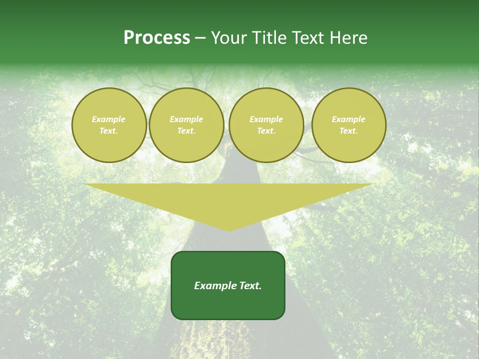 Dream Backlit Colour PowerPoint Template