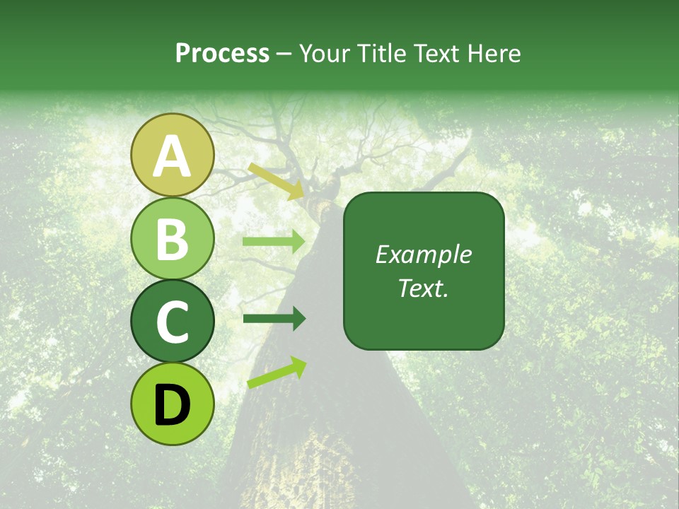 Dream Backlit Colour PowerPoint Template