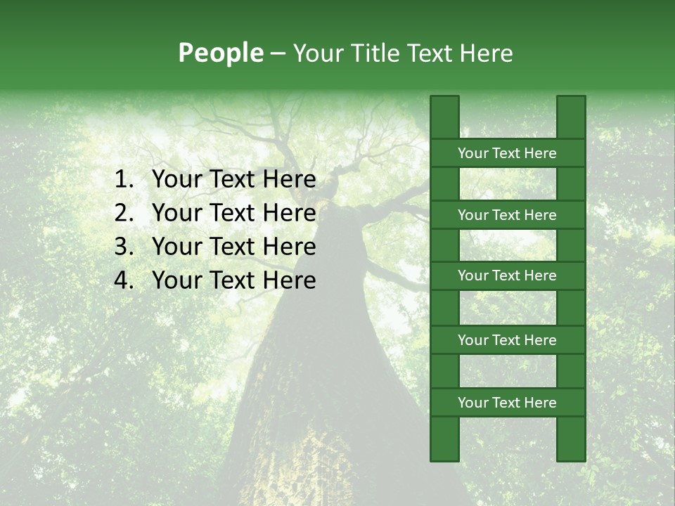 Dream Backlit Colour PowerPoint Template