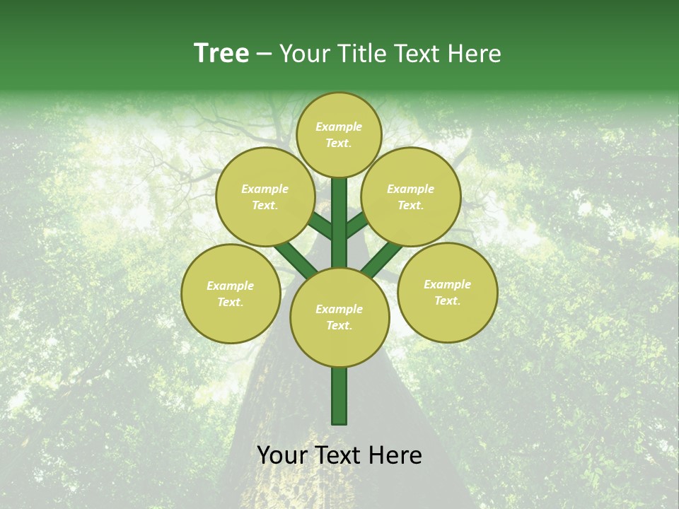 Dream Backlit Colour PowerPoint Template