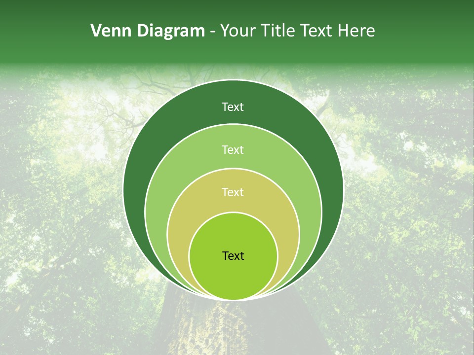 Dream Backlit Colour PowerPoint Template