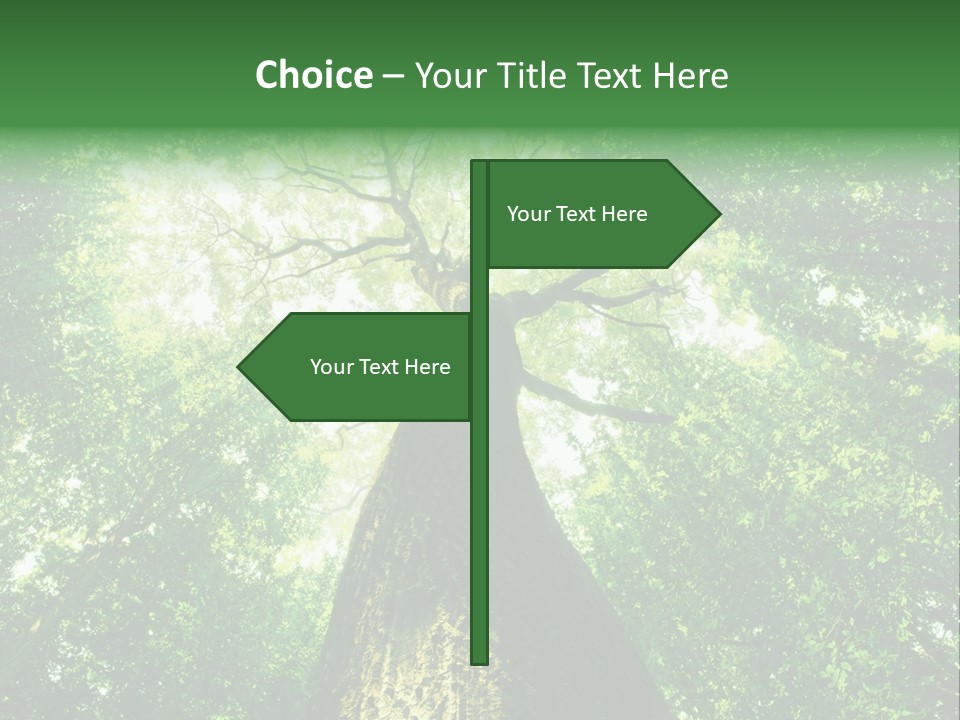 Dream Backlit Colour PowerPoint Template