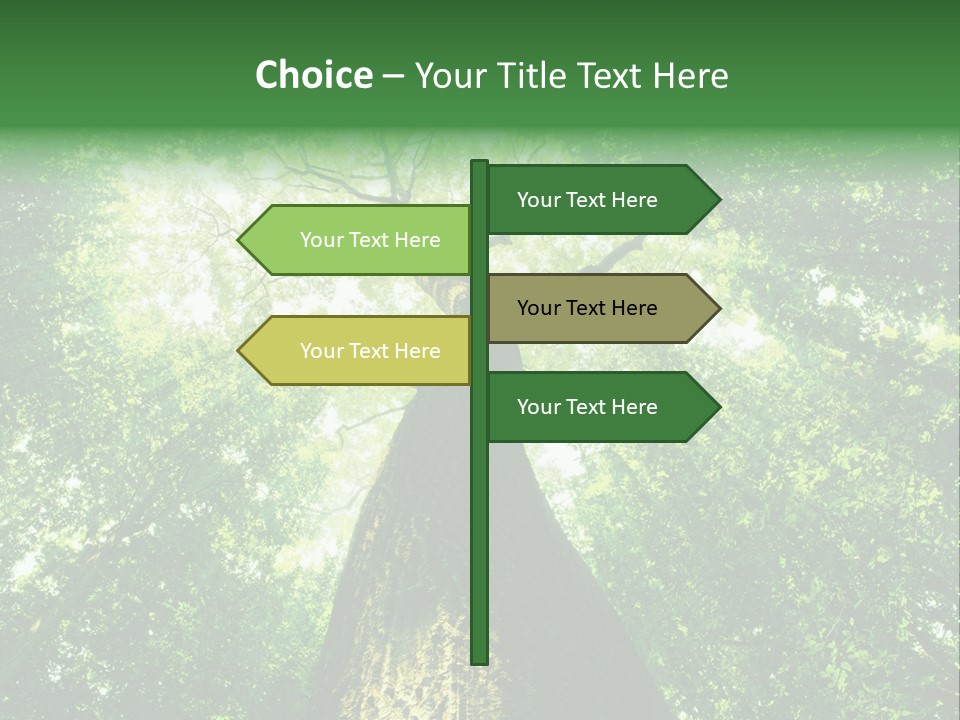 Dream Backlit Colour PowerPoint Template