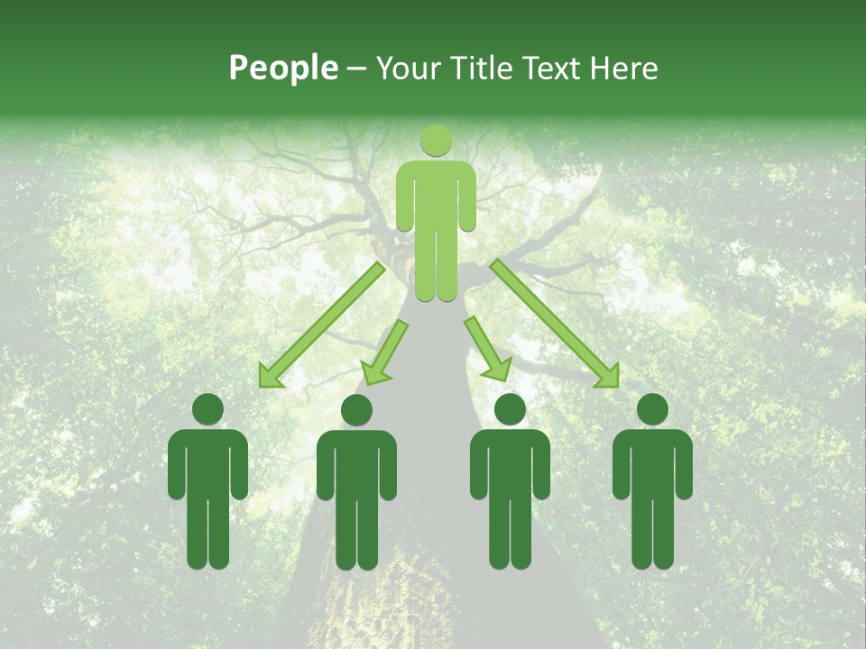 Dream Backlit Colour PowerPoint Template