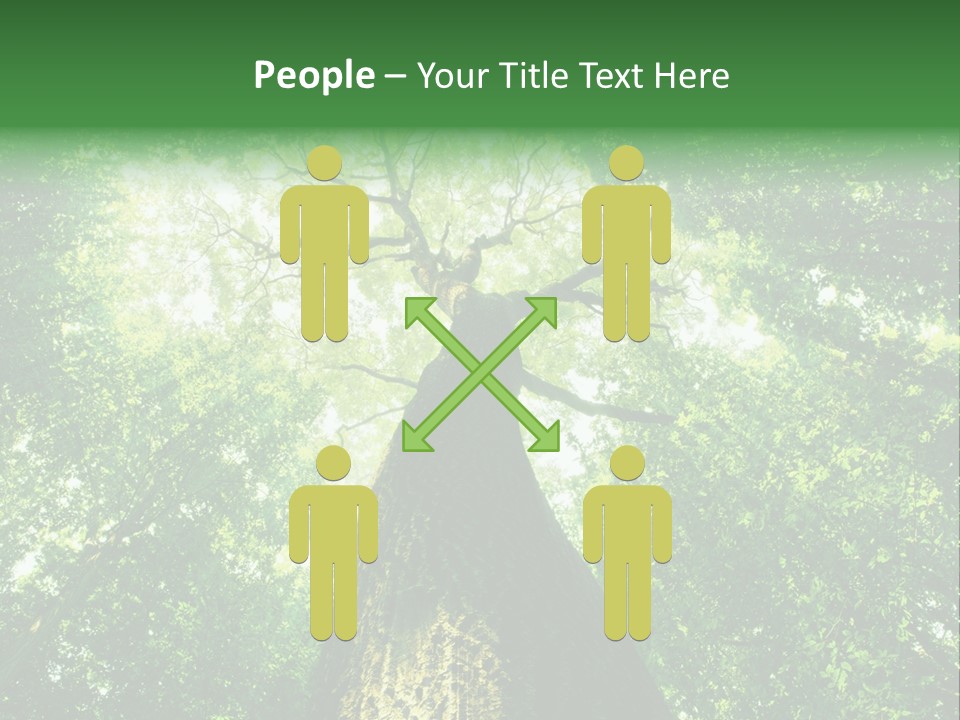 Dream Backlit Colour PowerPoint Template