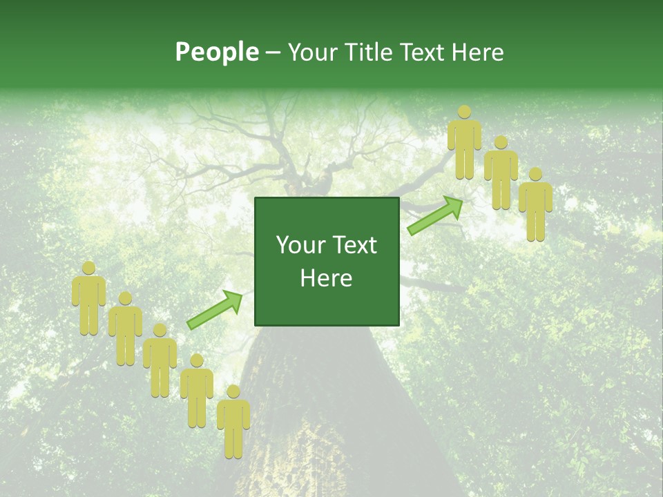 Dream Backlit Colour PowerPoint Template