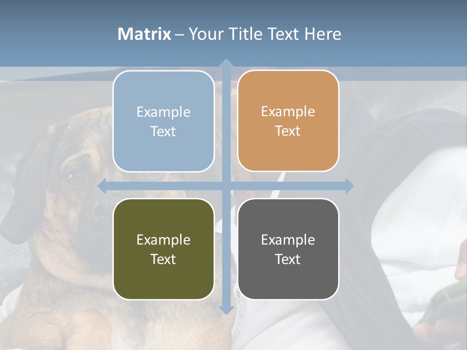 Animal Ethnic Pet PowerPoint Template