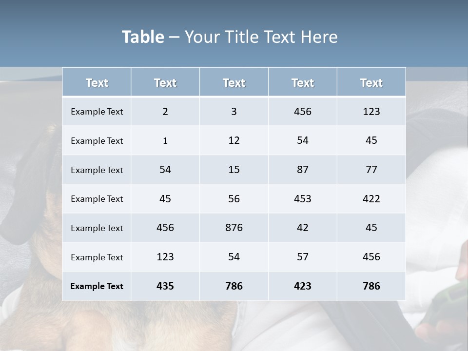 Animal Ethnic Pet PowerPoint Template