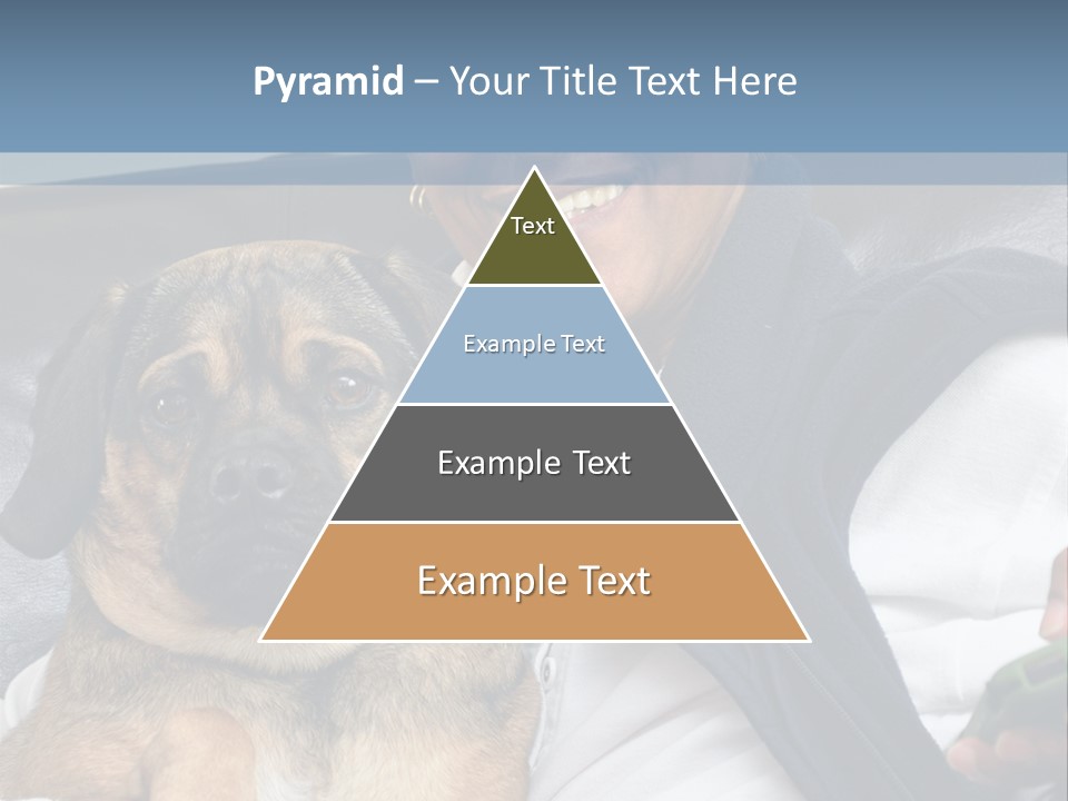 Animal Ethnic Pet PowerPoint Template