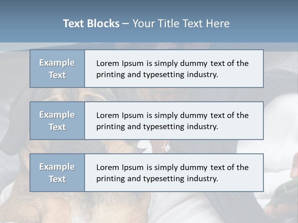 Animal Ethnic Pet PowerPoint Template