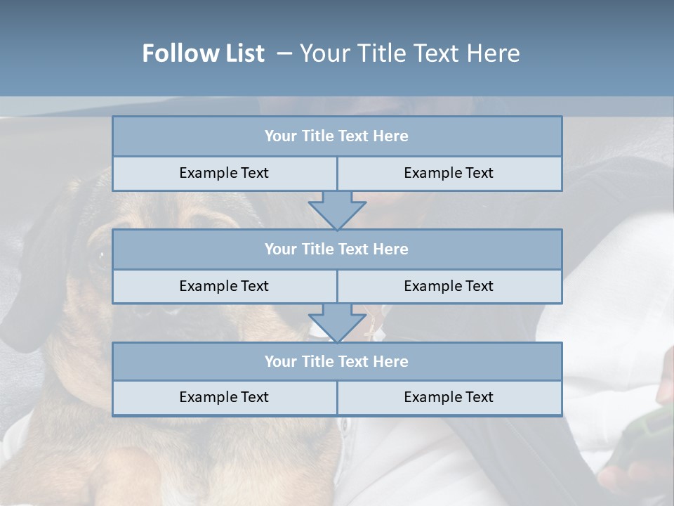 Animal Ethnic Pet PowerPoint Template
