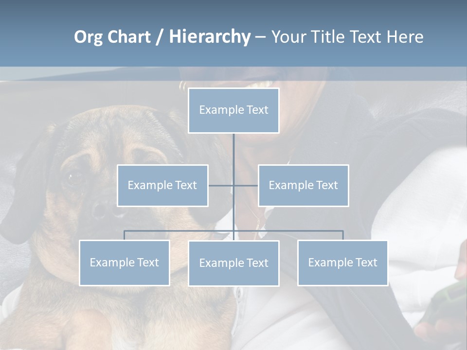 Animal Ethnic Pet PowerPoint Template