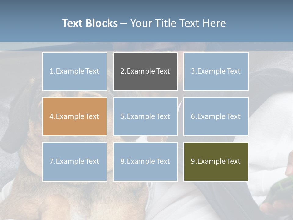 Animal Ethnic Pet PowerPoint Template