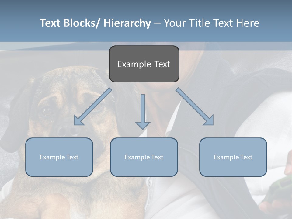 Animal Ethnic Pet PowerPoint Template