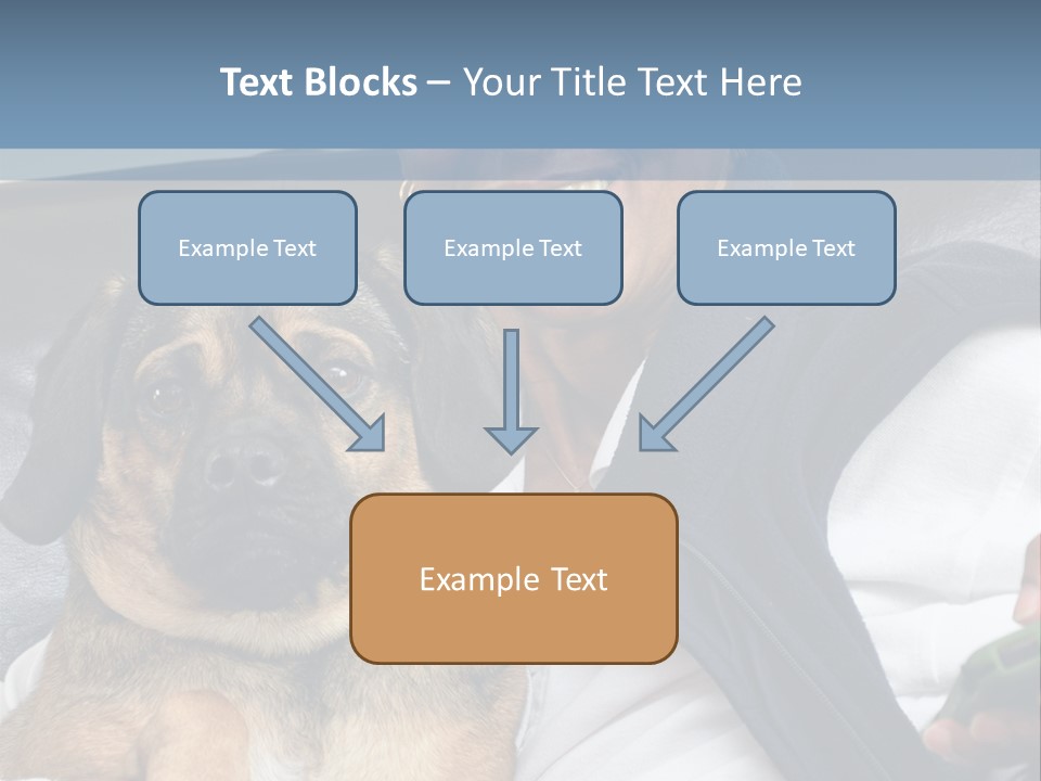 Animal Ethnic Pet PowerPoint Template