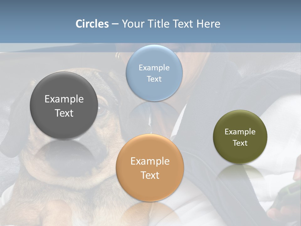 Animal Ethnic Pet PowerPoint Template