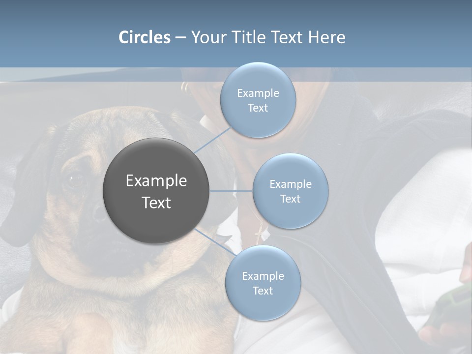 Animal Ethnic Pet PowerPoint Template