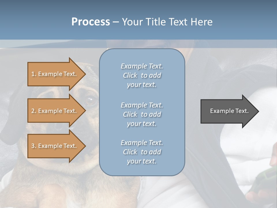 Animal Ethnic Pet PowerPoint Template