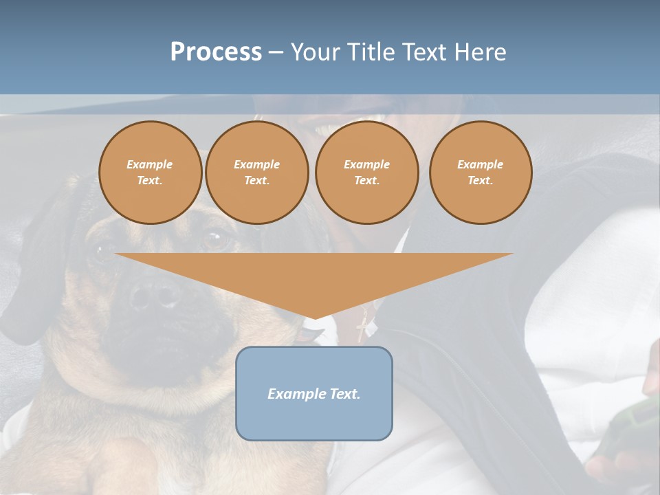 Animal Ethnic Pet PowerPoint Template