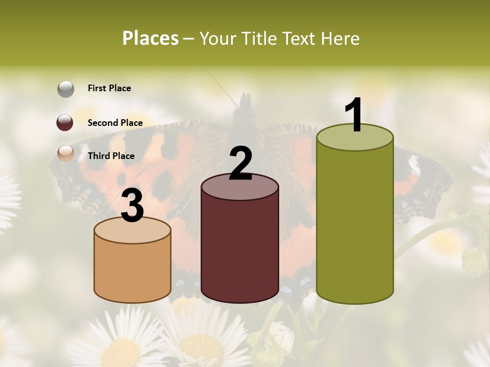 Field Flower Fields Summer PowerPoint Template