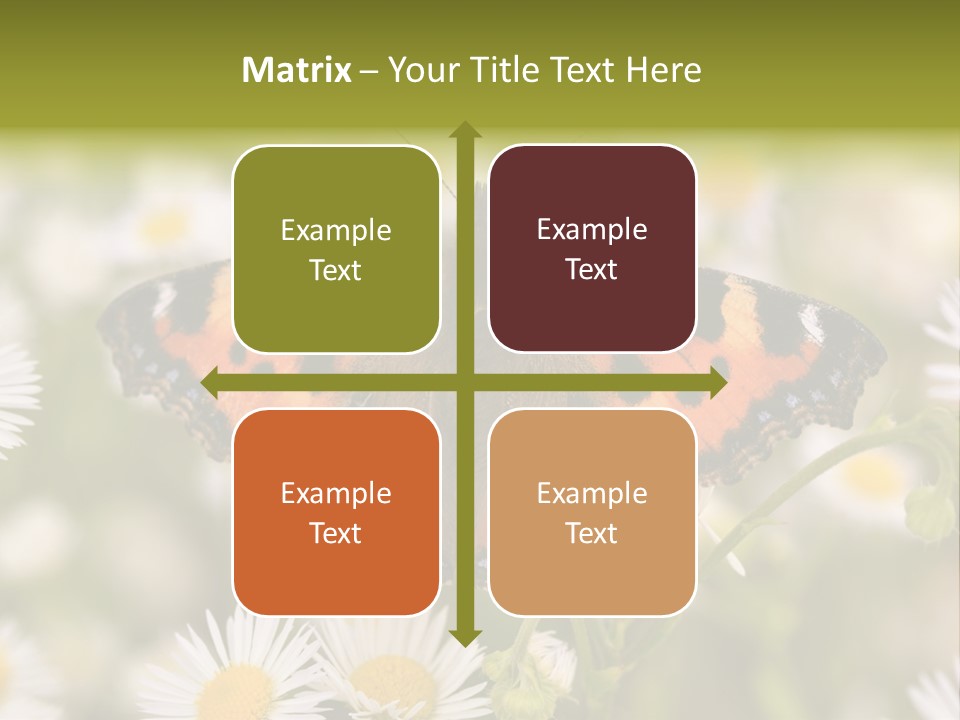 Field Flower Fields Summer PowerPoint Template