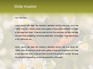 Field Flower Fields Summer PowerPoint Template