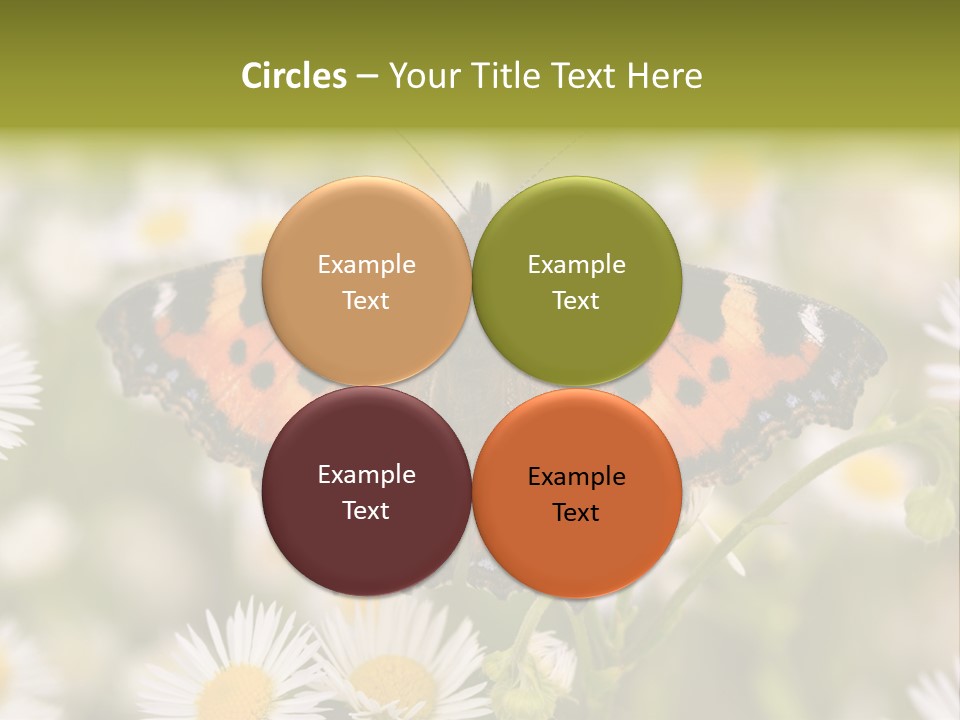 Field Flower Fields Summer PowerPoint Template
